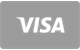 Visa maksājumu kartes ikona